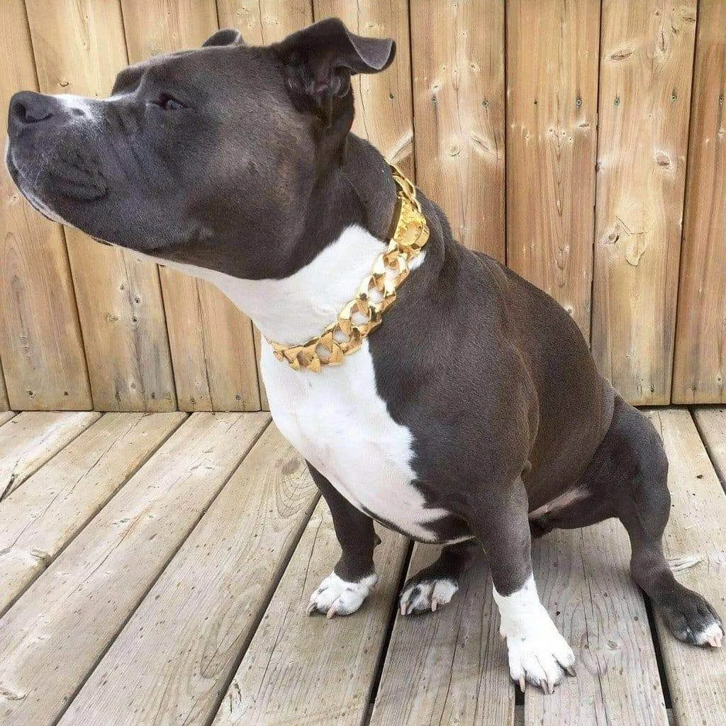 THE R.I.C.O.