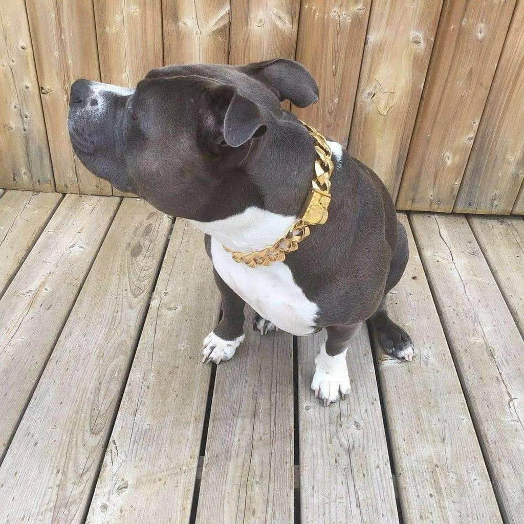 THE R.I.C.O.