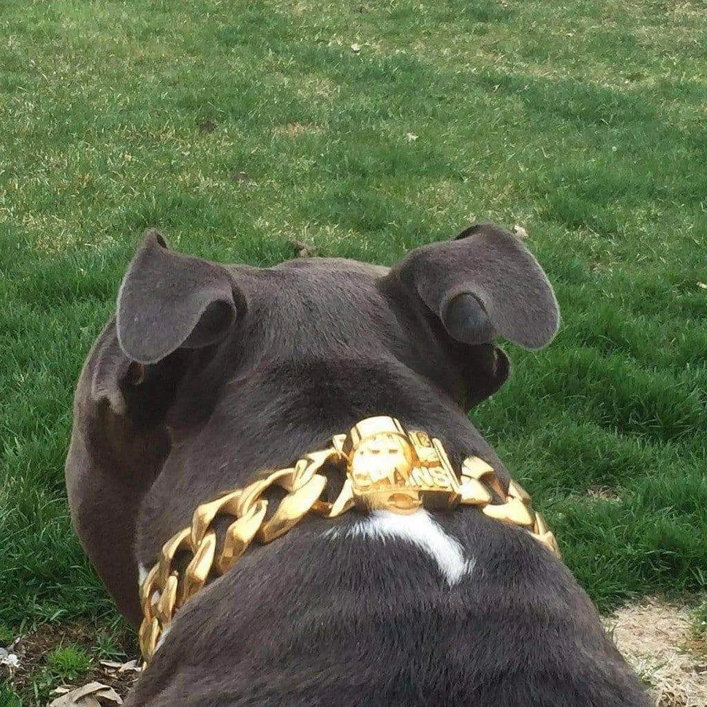 THE R.I.C.O.