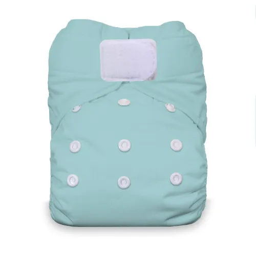 Thirsties Natural All In One Hook and Loop Cloth Diaper - NAIO H/L