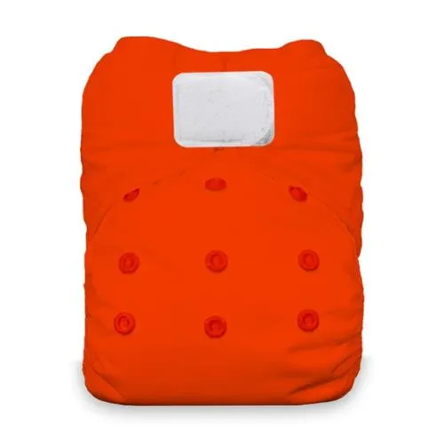 Thirsties Natural All In One Hook and Loop Cloth Diaper - NAIO H/L
