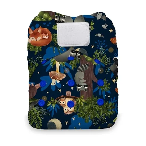 Thirsties Natural All In One Hook and Loop Cloth Diaper - NAIO H/L