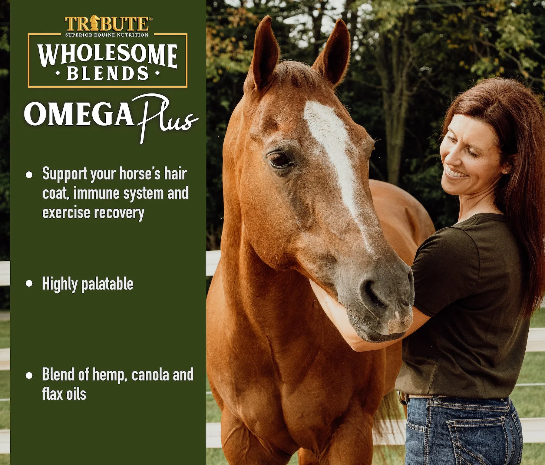Wholesome Blends® Omega Plus, Omega 3 Oil Supplement